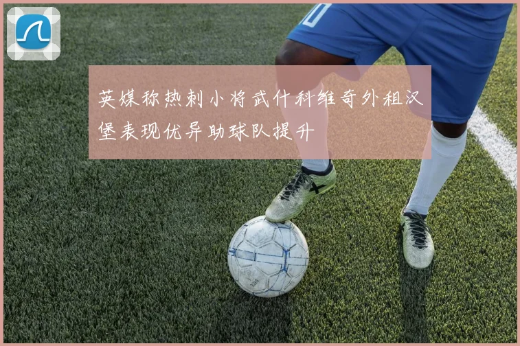 英媒称热刺小将武什科维奇外租汉堡表现优异助球队提升